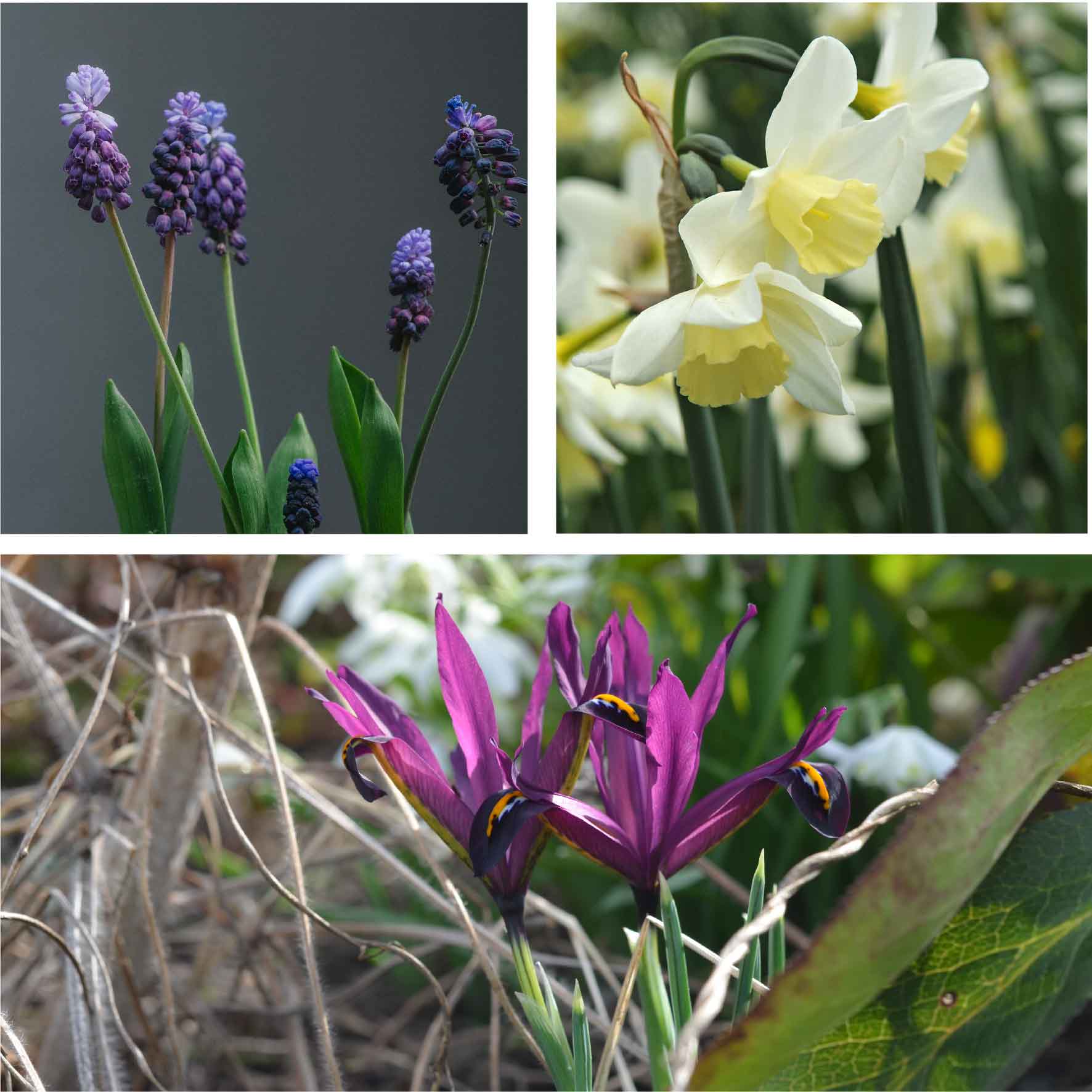 Yeo Valley Spring Collection