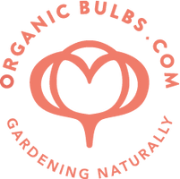 Organic Bulbs